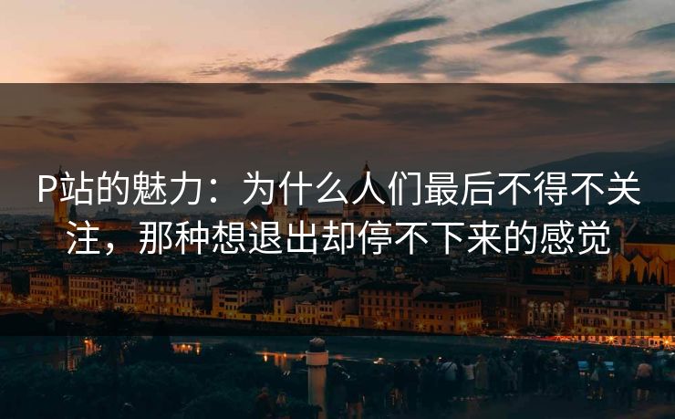 P站的魅力：为什么人们最后不得不关注，那种想退出却停不下来的感觉