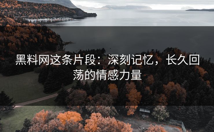 黑料网这条片段：深刻记忆，长久回荡的情感力量