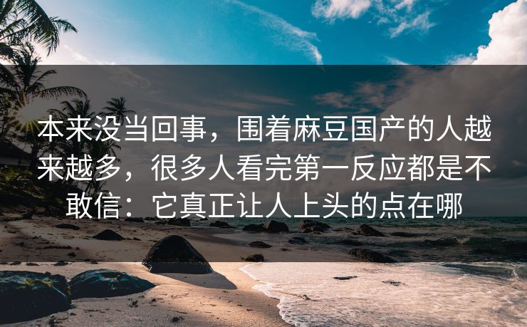 本来没当回事，围着麻豆国产的人越来越多，很多人看完第一反应都是不敢信：它真正让人上头的点在哪