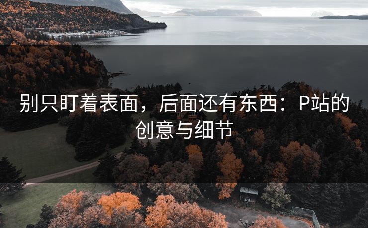别只盯着表面,后面还有东西:P站的创意与细节 别只盯着表面,后面还有东西:P站的创意与细节
