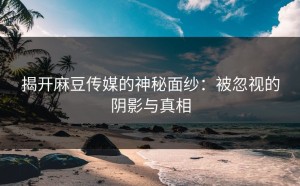 揭开麻豆传媒的神秘面纱：被忽视的阴影与真相