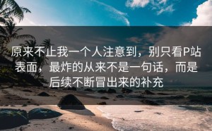 原来不止我一个人注意到，别只看P站表面，最炸的从来不是一句话，而是后续不断冒出来的补充