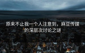 原来不止我一个人注意到，麻豆传媒的深层次讨论之谜