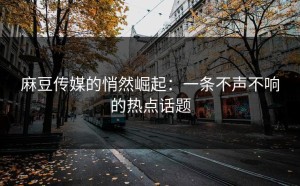 麻豆传媒的悄然崛起：一条不声不响的热点话题