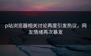 p站浏览器相关讨论再度引发热议，网友情绪再次暴发