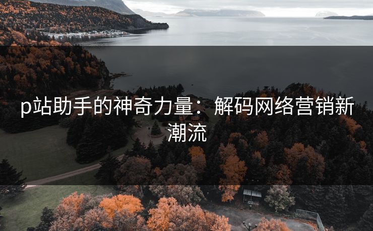 p站助手的神奇力量:解码网络营销新潮流 p站助手的神奇力量:解码网络营销新潮流